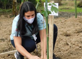 Equipe da Fucam vistoria a área do Bosque da Memória em Camboriú
