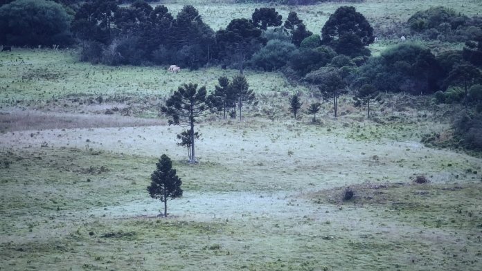 2021 já começa com geada e frio em Santa Catarina