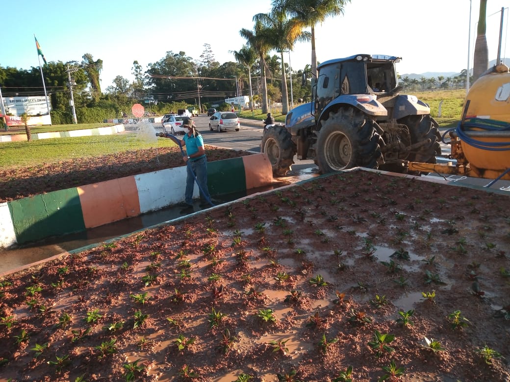Secretaria de Agricultura inicia paisagismo em Camboriú