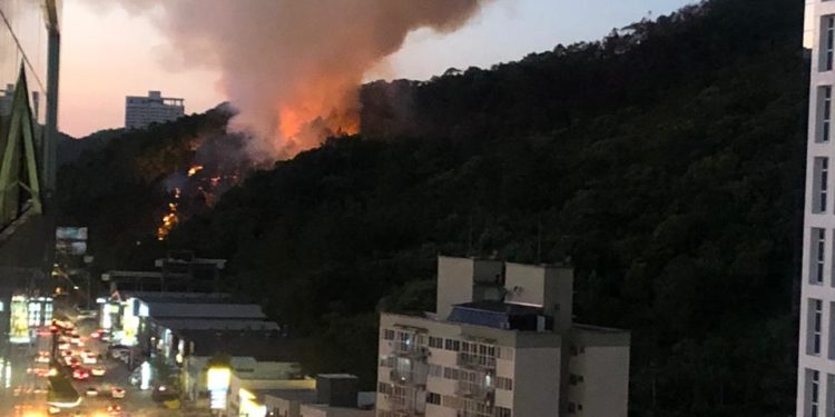 Incêndio atinge mata entre Balneário Camboriú e Itajaí