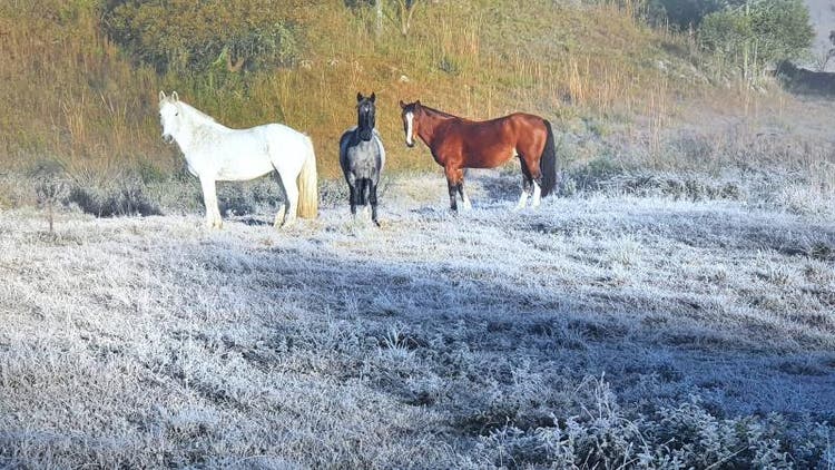 Serra de Santa Catarina amanhece com -4,2 ºC na manhã deste sábado