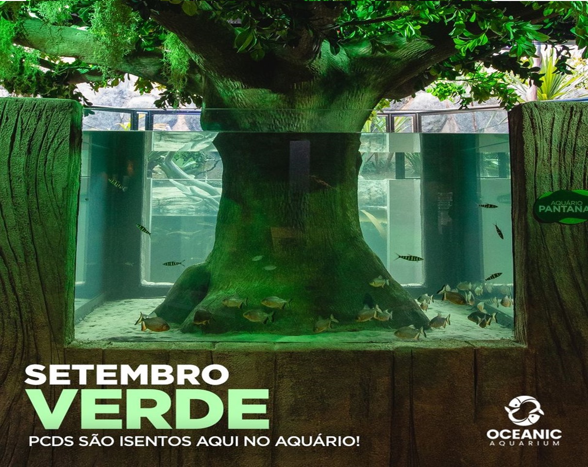 No Oceanic Aquarium pessoas com deficiência têm entrada gratuita o ano inteiro
