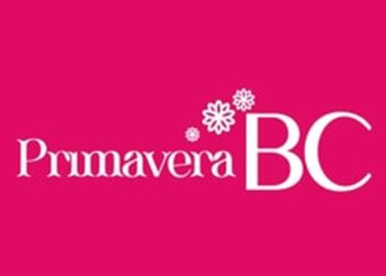 Prefeitura promove caminhada para convidar o comércio a participar do Primavera BC