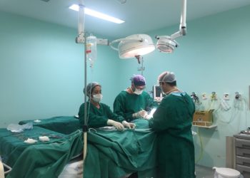 Hospital Ruth Cardoso já captou 50 órgãos para doação neste ano