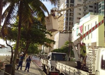 Saiba como solicitar poda de árvore pelo site da Prefeitura de BC