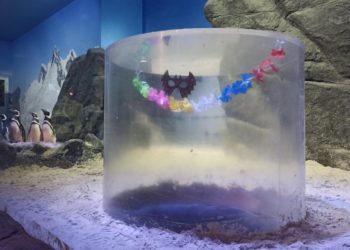 Folia dos animais no Oceanic Aquarium