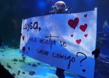 Pedido de casamento é realizado dentro do recinto dos tubarões no Oceanic Aquarium