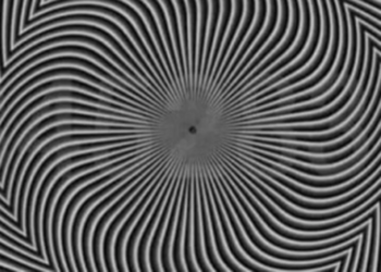 Que números você vê? Ilusão de ótica causa confusão nas redes sociais