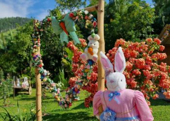 Domingo, dia 6 inicia a Terceira edição Osterbaum em Camboriú