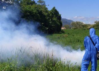 Camboriú – Bairro São Francisco de Assis passará por dedetização de mosquito nesta terça- feira, dia 8