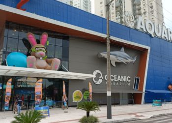 O coelho já chegou no Oceanic Aquarium