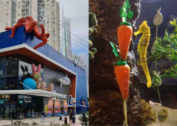 Animais do Oceanic Aquarium ganham enriquecimento ambiental temático de Páscoa