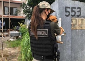 Animais são resgatados em operação da Fiscalização em Balneário Camboriú