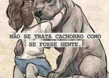 Não se trata cachorro como gente…