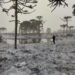 Frio intenso, neve, ciclone e vento de 100 km/h em Santa Catarina