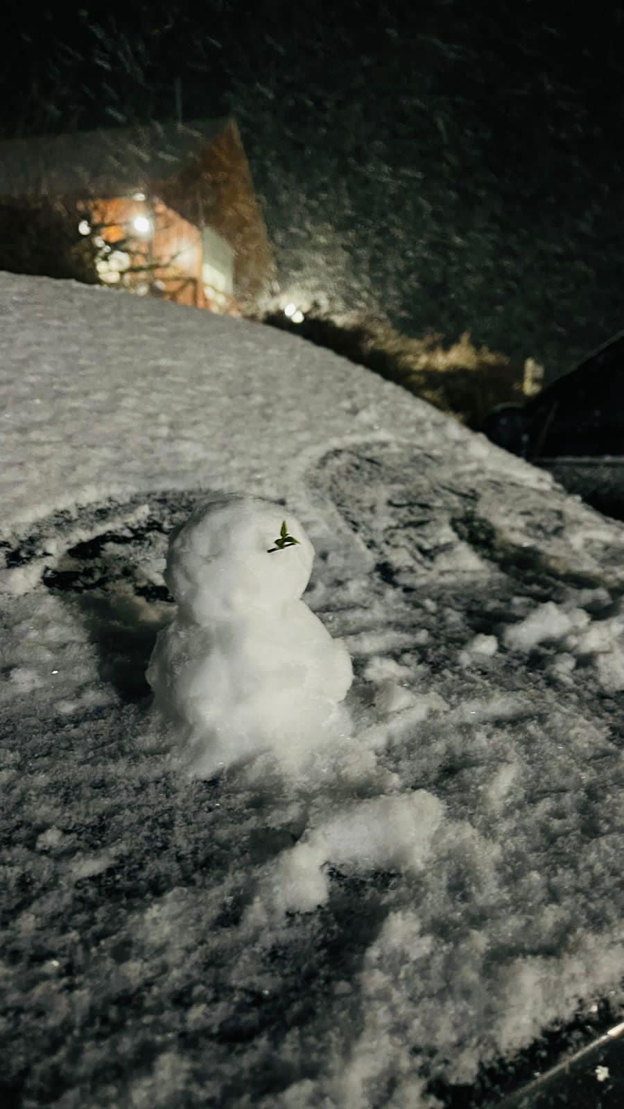 Neve volta a cair na Serra catarinense 