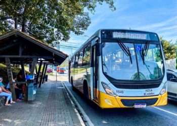 Confira como funcionam as novas linhas do BC Coletivo