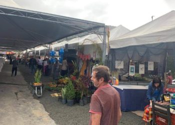 Festa Raízes de Taquaras movimenta Balneário Camboriú até domingo