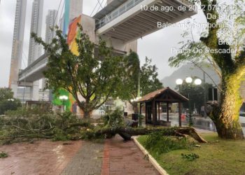 Equipes da Prefeitura avaliam e acompanham efeitos da chuva volumosas e vento em Balneário Camboriú