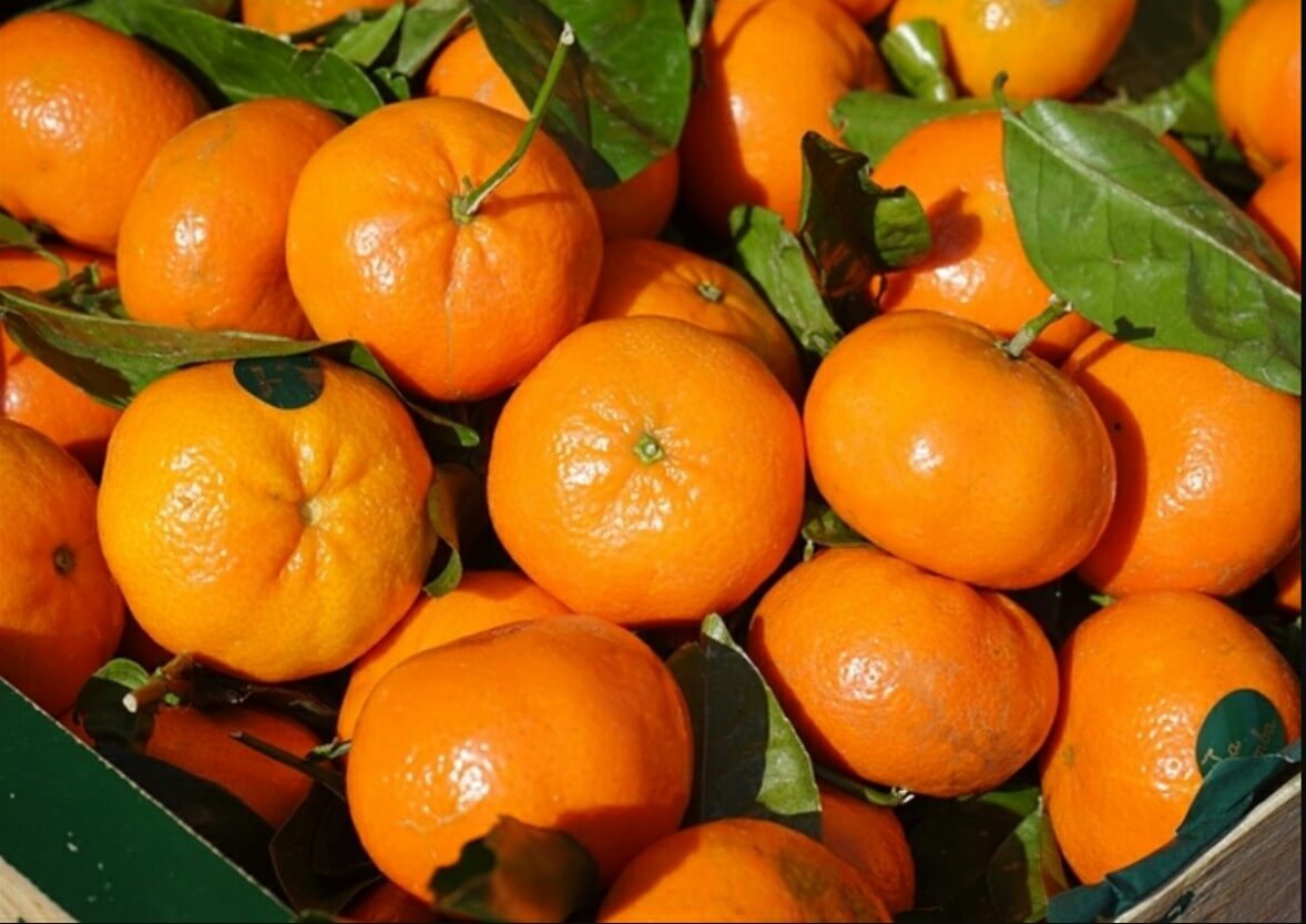 Tangerinas