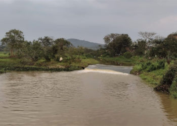 Período de chuva eleva nível do Rio Camboriú em quase dois metros