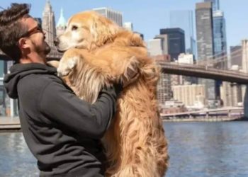 Jesse Koz e Shurastey ganham memorial em Balneário Camboriú