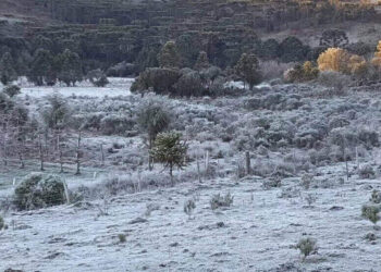 Santa Catarina terá frio histórico e chance de neve em novembro