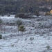Santa Catarina terá frio histórico e chance de neve em novembro