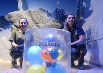 Oceanic Aquarium completa três anos em Balneário Camboriú