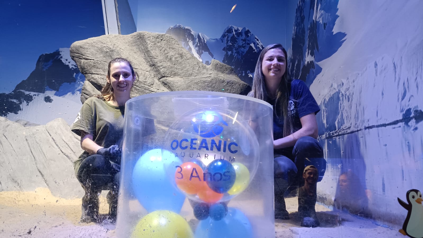 Oceanic Aquarium três anos