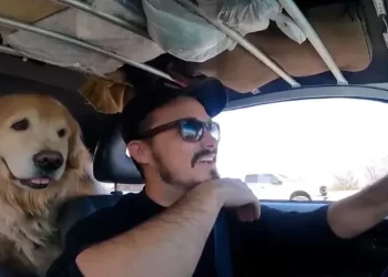 História de Jesse Koz e seu cachorro Shurastey vai virar filme