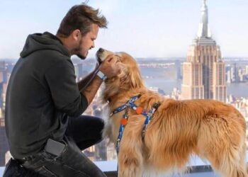 SC ganha data especial em homenagem a Jesse Koz e o cão Shurastey