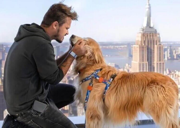 🎬 Minha Vida com Shurastey tem gravações concluídas e prepara estreia emocionante nos cinemas