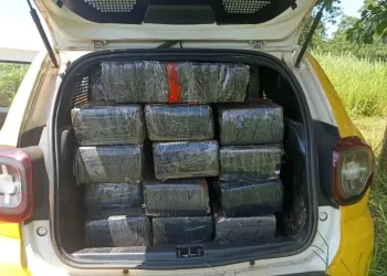 Mulher com 700 kg de maconha é assaltada, chama polícia e é presa; destino Balneário Camboriú