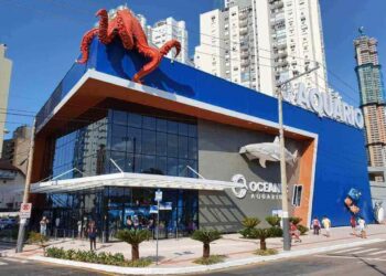 Unidos do Passaporte da Diversão marca o carnaval no Grupo Oceanic