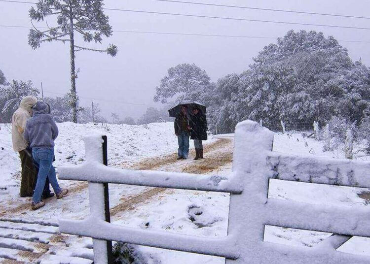 Frio intenso nos EUA pode impactar SC?