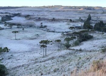 Santa Catarina pode ter a semana mais gelada de 2023
