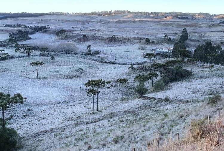 Santa Catarina pode ter a semana mais gelada de 2023