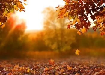 Clima esperado para os meses de maio, junho e julho de 2023; confira