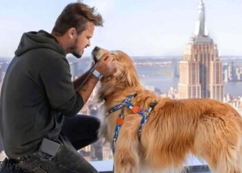 Mais de 300 animais são esperados para a Cãominhada neste domingo em BC