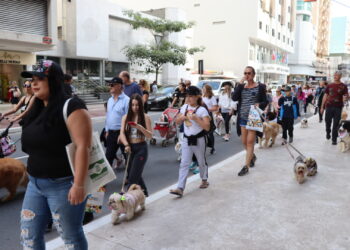 Cãominhada é transferida para domingo em BC