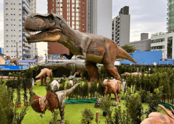 BC 59 anos: tem promoção para comemorar o aniversário da cidade