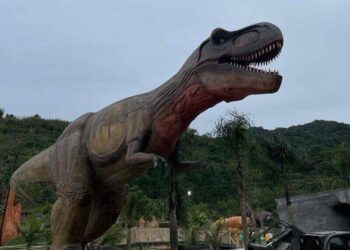 Dinossauros do parque ‘Aventura Jurássica’ chegaram em 30 contêineres, saiba mais