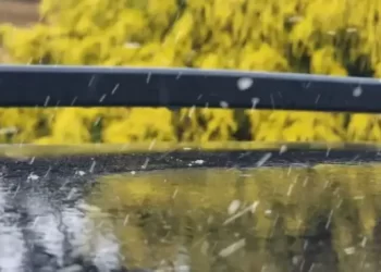 Caem os primeiros flocos de neve na Serra Catarinense