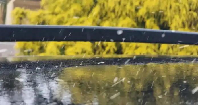 Flocos de neve na Serra Catarinense