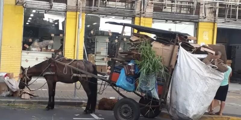 Carroças e transporte de carga animal