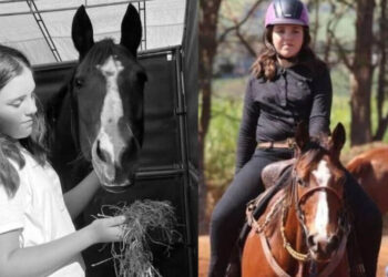 Morre a menina de 11 anos que caiu de cavalo em Camboriú