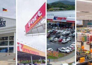 Veja o ranking das empresas varejistas bilionárias de Santa Catarina
