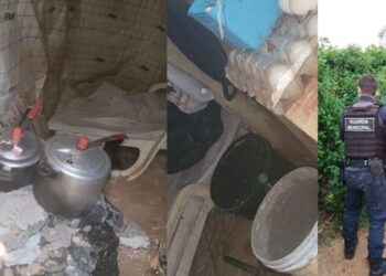 Guarda Municipal Ambiental descobre casa subterrânea na restinga da Praia Brava