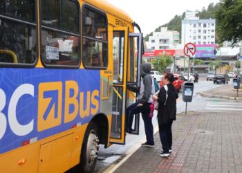 Ônibus tarifa zero já foram utilizados mais de 300 mil vezes